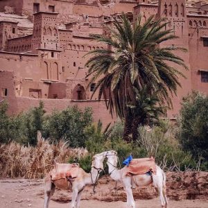 Excursión de un día a Ait Ben Haddou