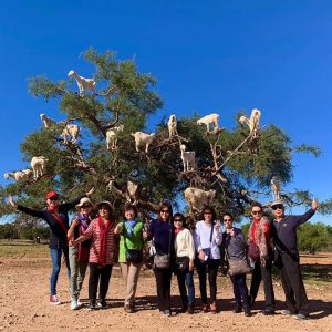 Excursión de un día a Essaouira desde marrakech